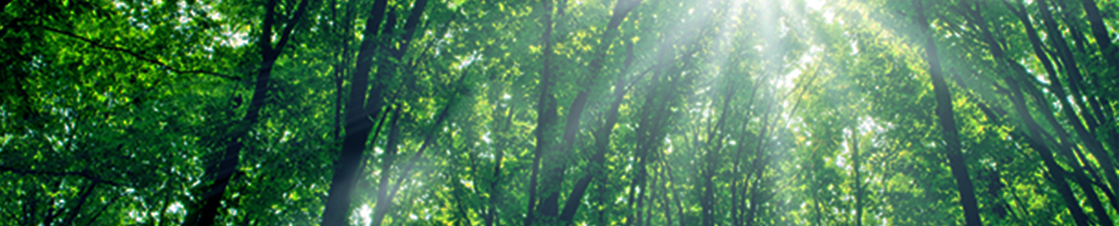 environment-banner2.jpg